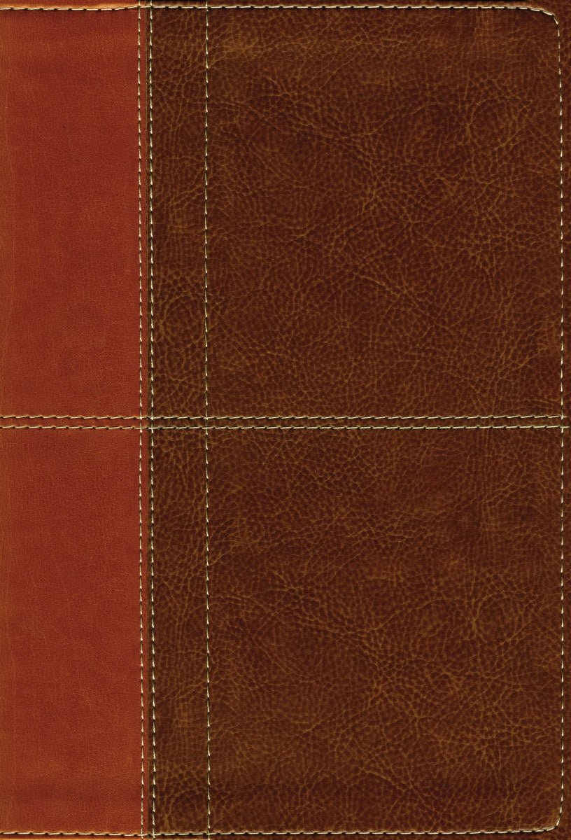 NIV Life Application Study Bible - Large Print - Zondervan 157864