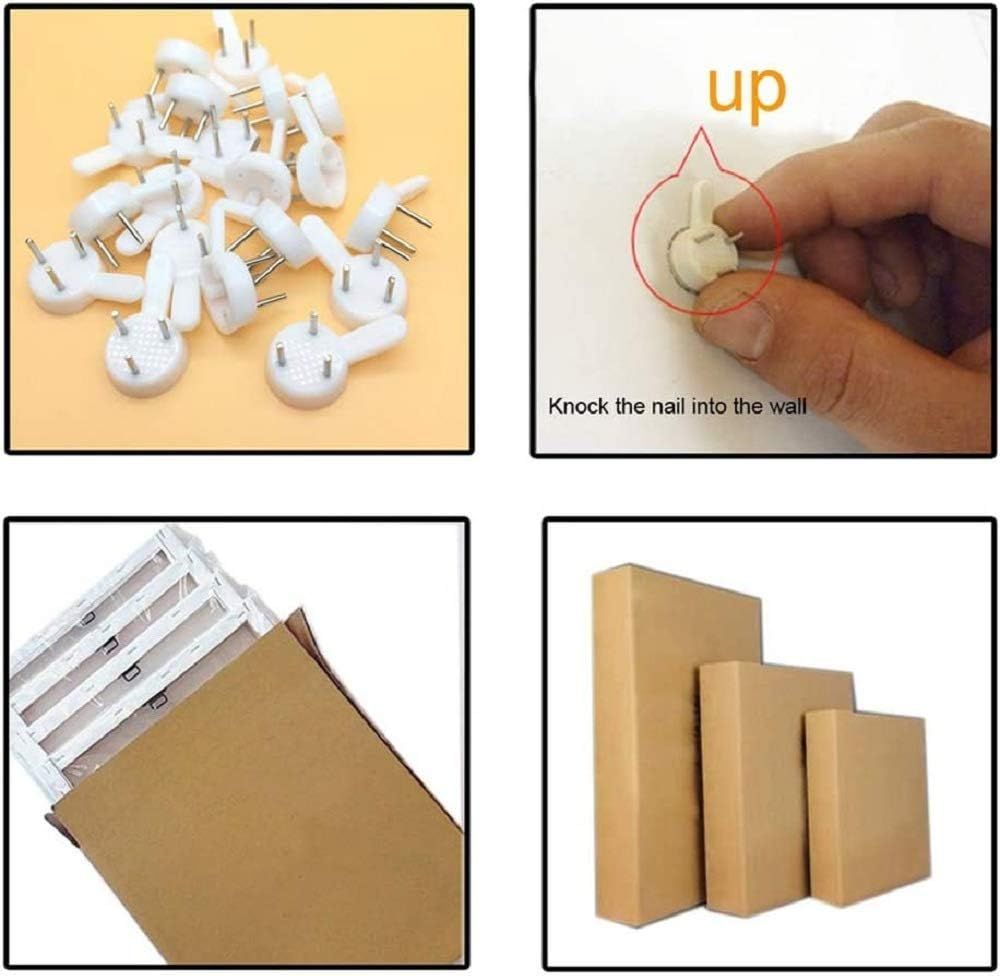 445572441