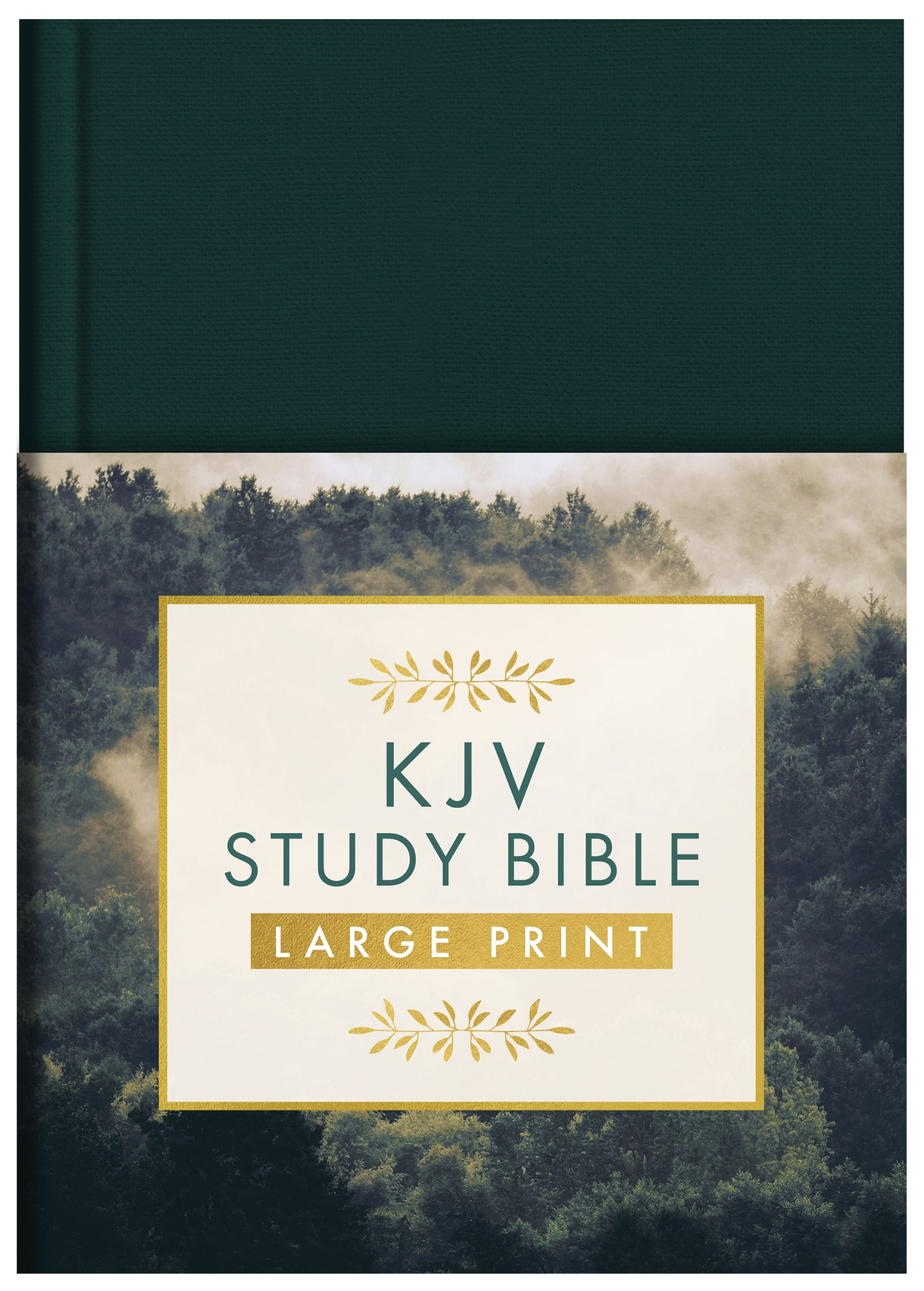 Bibles